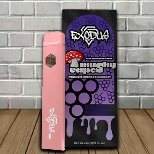 Relaxation Mushroom Vape, Euphoric Vape Pen, Stress Relief Mushroom Vape, Calming Mushroom Disposable, Mind Relaxing Vape,