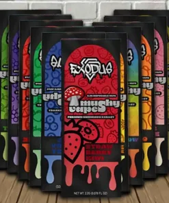 https://exodusmushroomvape.com/
