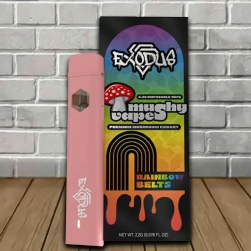 Rainbow Belts