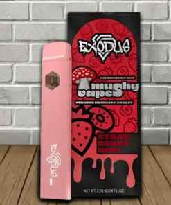 Strawberry Kiwi
