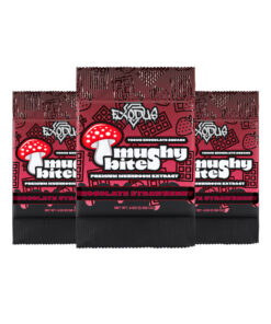 Exodus Mushy Bites Mushroom Chocolate Squares
